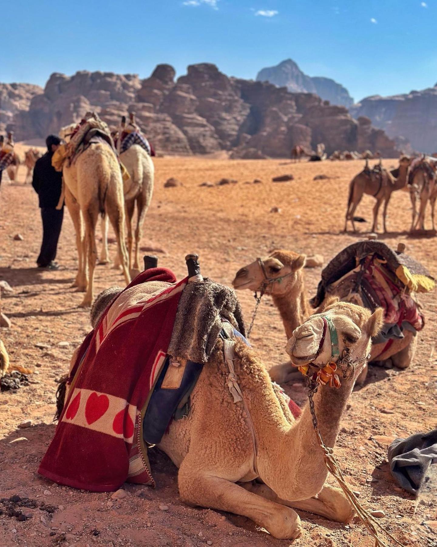 Daniela Camp Wadi Rum Exterior photo